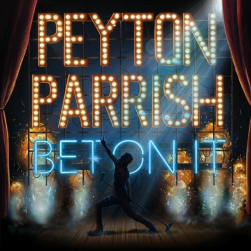 High School Musical 2 - Bet On It (Peyton Parrish Cover)