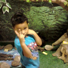 i wish you on my festa (xanwyd)