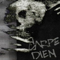 STED.D-CARPE DIEM