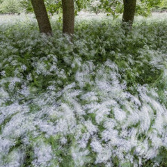 "FRESH AIR" Melodic Type Beat