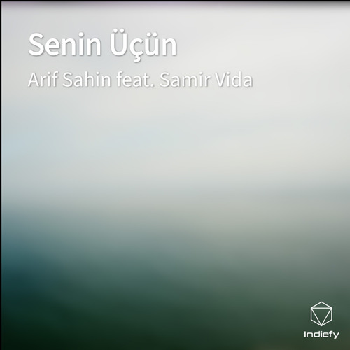 Senin Üçün (feat. Samir Vida)