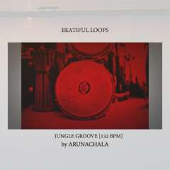 AS_Jungle_Bells_132bpm_1