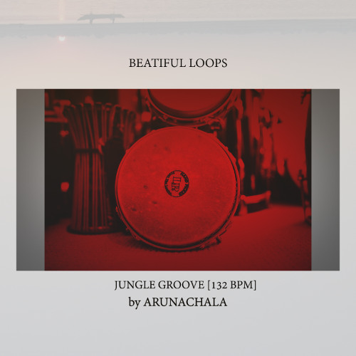 AS_Jungle_Surdo_132bpm_1