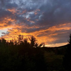 Black Forest Mix Vol. 3