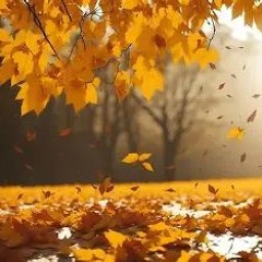 Autumn chase demo