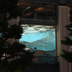 40.3 Dream in the night 20250713-3