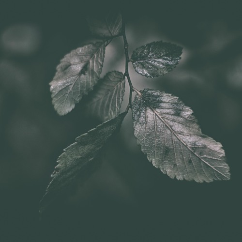Dancing With Your Ghost (ABHI Remix)