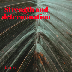 I’m not a product of my circumstances