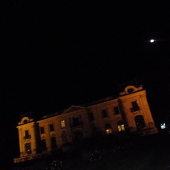 STAY BACK THERE AND WATCH