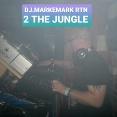 DJ.MARKEMARK RTN TO THE JUNGLE VINYL MIX FLAC