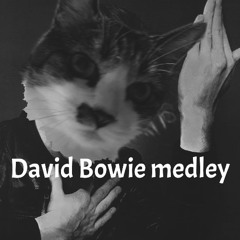 David Bowie Medley