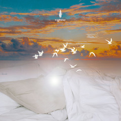 푸치니 : 잔니 스키키 – 오 사랑하는 나의 아버지 Puccini : Gianni Schicchi – O Mio Babbino Caro