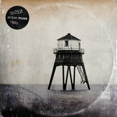 Amber Muse Radio Show #210 with Taran & Lomov // 27 Nov 2020