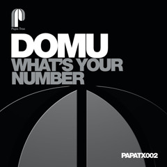 What's Your Number (Instrumental)