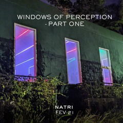 WINDOWS OF PERCEPTION - VOL 1 - Fev 2021