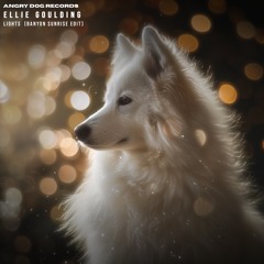 Ellie Goulding - Lights (Banyon Sunrise Edit) FREE DOWNLOAD