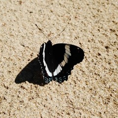 lucid dream n01 - mix