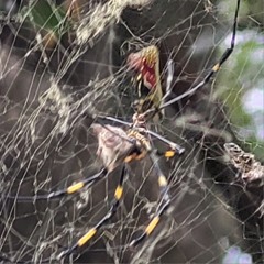 Mein verlorenes Jahr