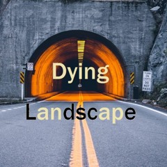 Dying Landscape -------------------  SamplerRemix