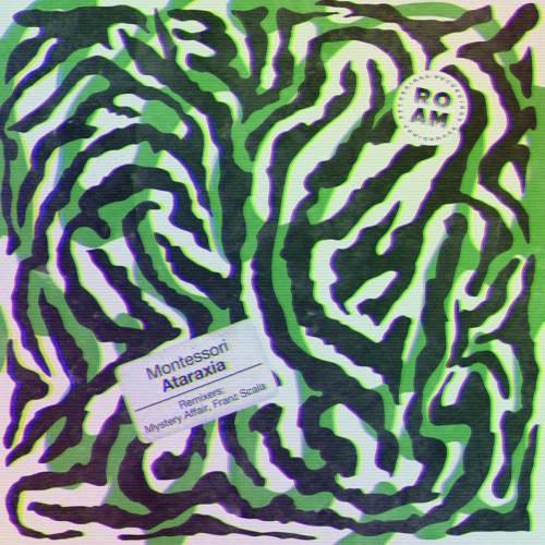 PREMIERE: Montessori - Rollero (Franz Scala Remix)