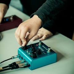 Les Lézards - L'harmonie Rouge