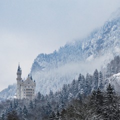 2k22 samples p. icey phase #4sale