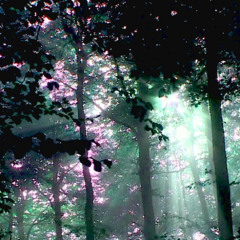 Forest Spirit
