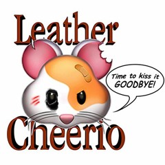 Molly's Chambers-[live]