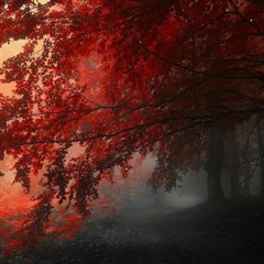 ウォーク・ザー・ウッズ