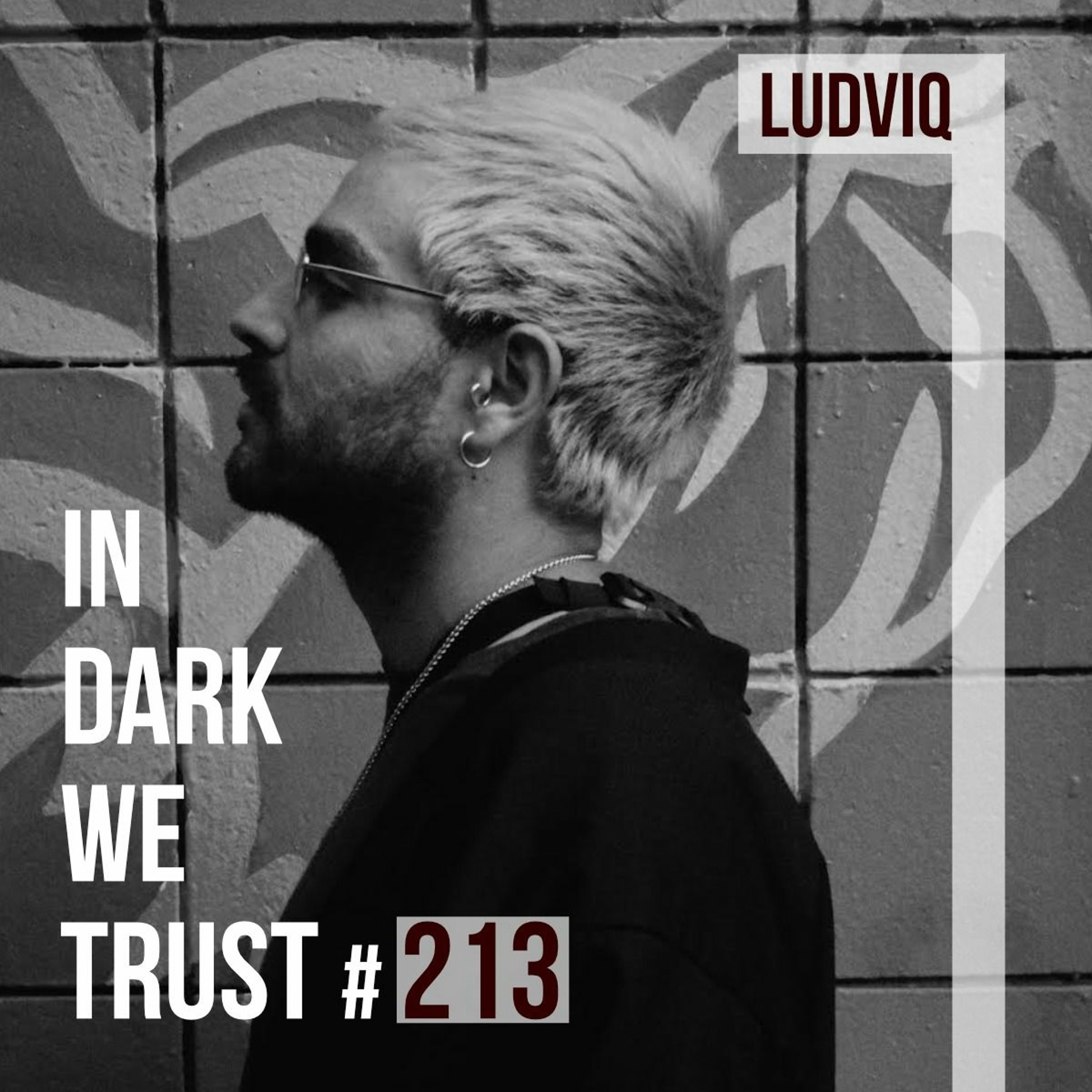 Ludviq - IN DARK WE TRUST #213 episode artwork