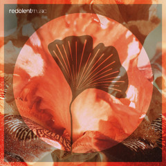 RDT093 Anturage, Alexey Union, Alar - More Power EP