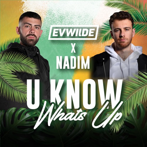 U Know Whats Up - Ev Wilde X Nadim