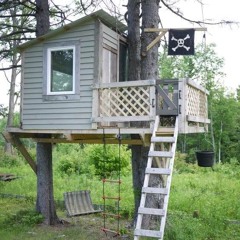 Tree House