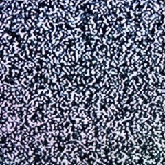 통속의 뇌 at home