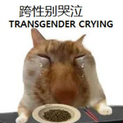 Unfinished F. Nephew Goodnightsweetangel