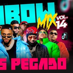 Rochy RD, Papa Tyga, Flow 28, El Alfa, Tivi Gunz, Bulova, Onguito - Dembow Mix Vol 14 (By DJ Adoni)