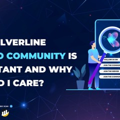 Why SilverLine Crypto Community Is Important And Why Should I Care?