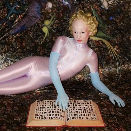 Salvia - Lunchbox