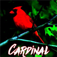 Cardinal