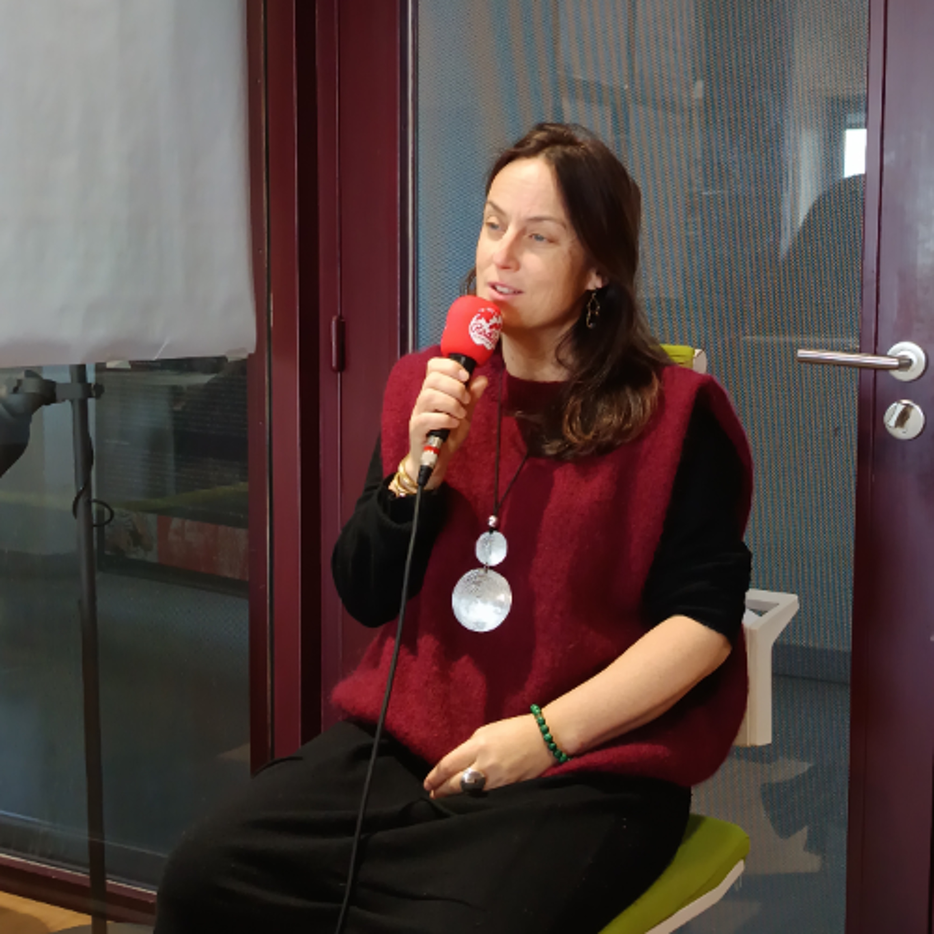 Interview de Ninon Valder artiste de l'association Flying Penguins - FAMDT episode artwork