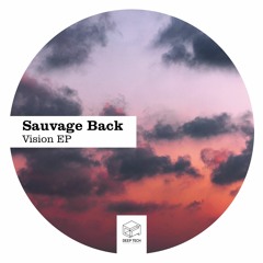 Sauvage Back - Vision (Original Mix)