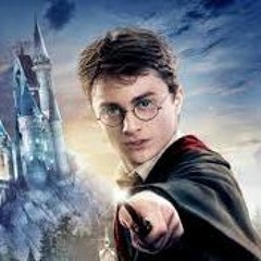 Harry Potter And The Riddim Stone