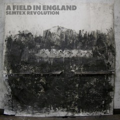 𝗔 𝗙𝗜𝗘𝗟𝗗 𝗜𝗡 𝗘𝗡𝗚𝗟𝗔𝗡𝗗 : 𝓢𝓮𝓶𝓽𝓮𝔁 𝓡𝓮𝓿𝓸𝓵𝓾𝓽𝓲𝓸𝓷 ( 𝕮𝖔𝖗𝖔𝖓𝖊𝖗 ᶜᵒᵛᵉʳ )