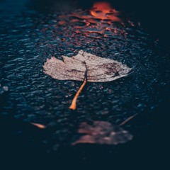 Rain Of Leaves
