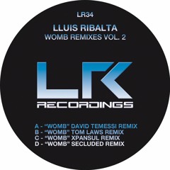 Lluis Ribalta - Womb (David Temessi Remix)