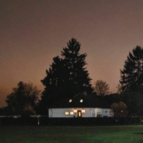 stayed under your wings