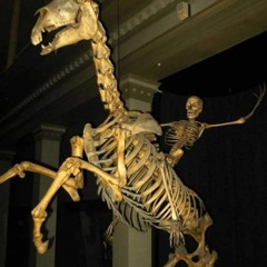 ༒Dungeon Master༒