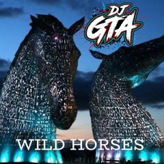 DJ GTA - WILD HORSES - EDIT
