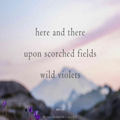 here upon wild - naviarhaiku582