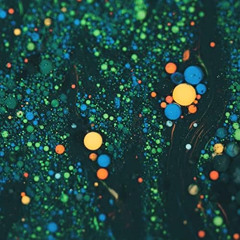 Mid Summer 20250727 mixa&selecta Nitro Dee Jay